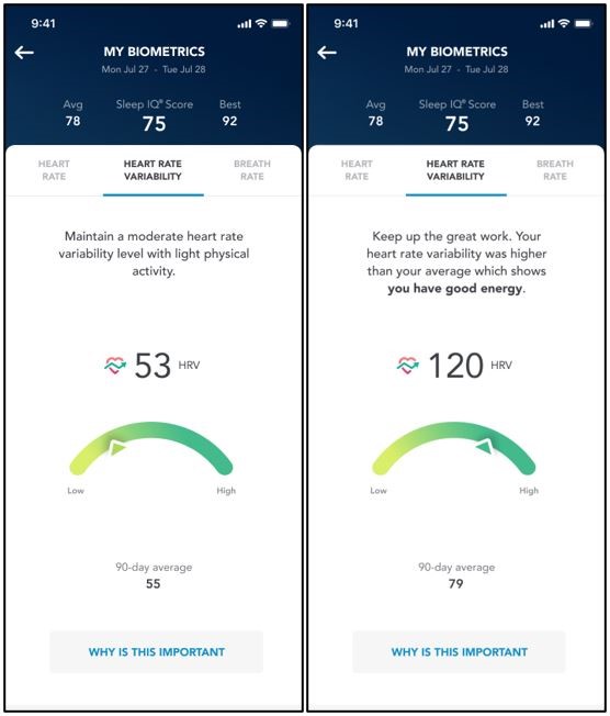 SleepIQ Heart Rate Variability Sleep Number