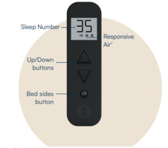 CCS Remote graphic.jpg