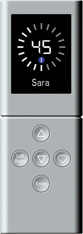 Traditional 5 Button Remote, light silver